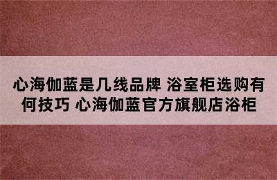 心海伽蓝是几线品牌 浴室柜选购有何技巧 心海伽蓝官方旗舰店浴柜